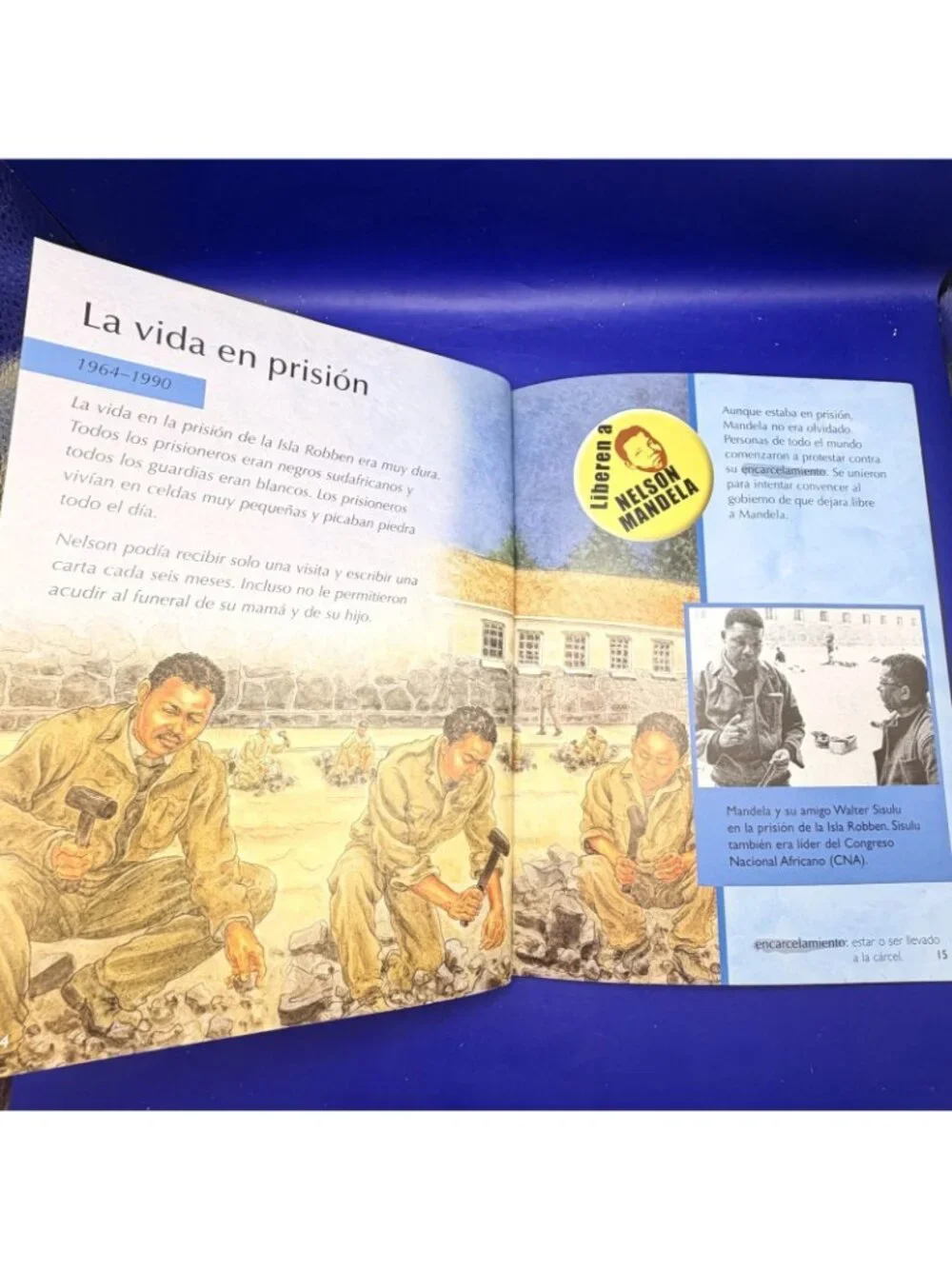 Nelson Mandela En Lucha Por La Libertad Biography Spanish PB Homeschool Reading